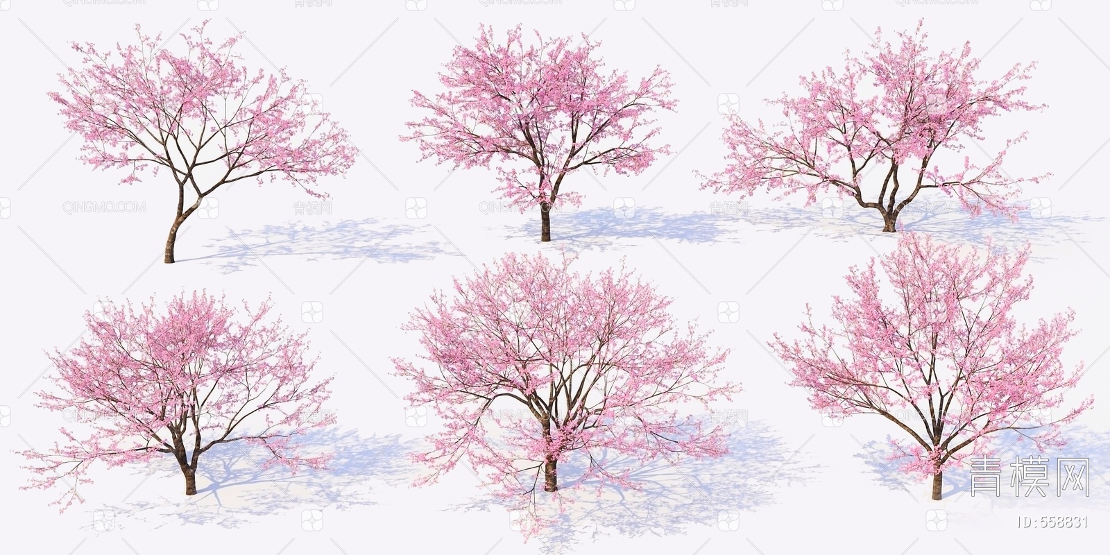 3d樱花树模型,樱花树3d模型下载_3D学苑