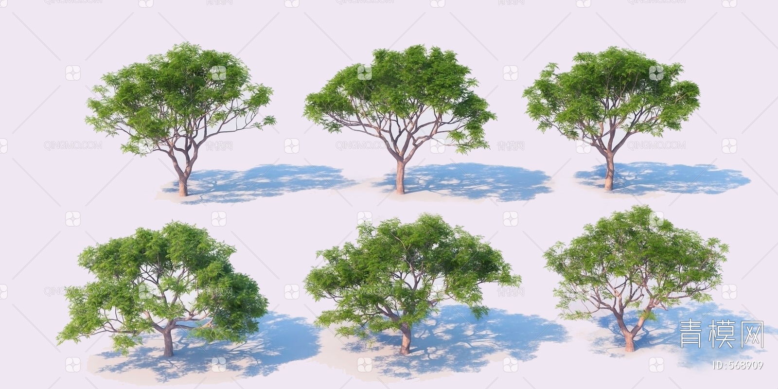 景观装饰平面树psd素材免费下载 - 觅知网