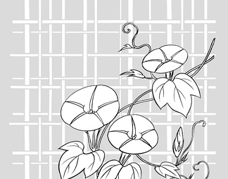 牵牛花、格子背景 牵牛花、格子背景【ID:13229】