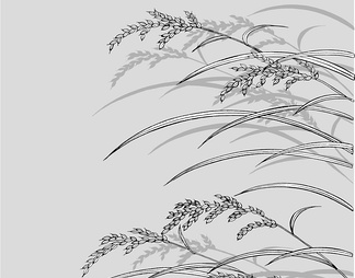 水稻 水稻【ID:13206】