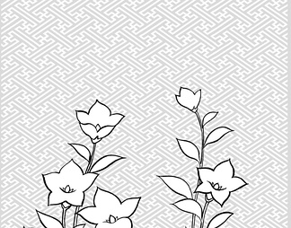 桔梗、背景 桔梗、背景【ID:13176】