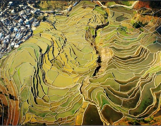 梯田