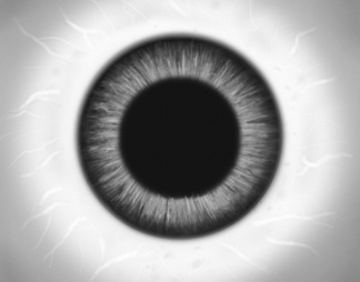 人体眼睛