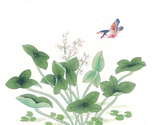 花鸟画