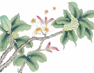 花鸟画