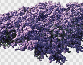 7ceahyb0