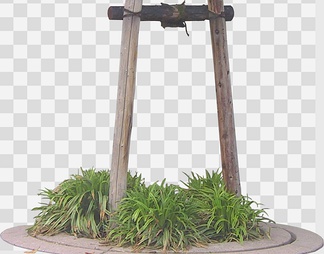 灌木