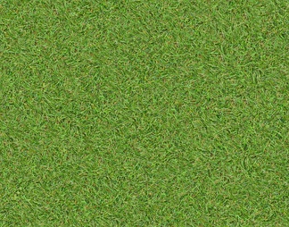 草地