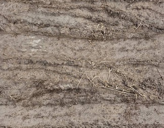 泥巴地面 泥巴地面贴图下载【ID:200670】