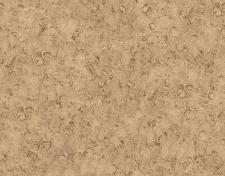 海滩地面贴图下载【ID:201925】