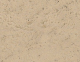 海滩地面 海滩地面贴图下载【ID:200569】