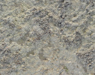 泥巴地面 泥巴地面贴图下载【ID:200628】
