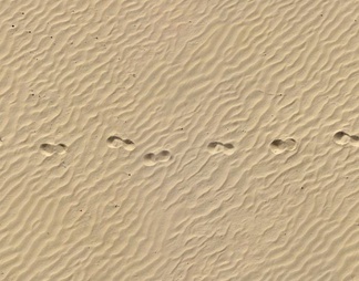 海滩地面 海滩地面贴图下载【ID:200686】