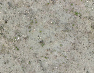 泥巴地面 泥巴地面贴图下载【ID:200621】