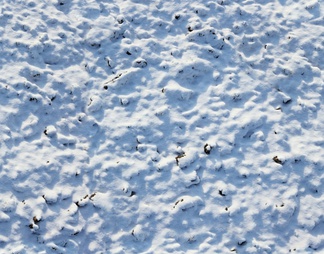 雪地地面贴图下载【ID:201829】