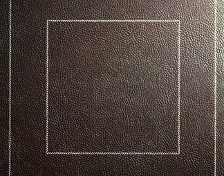 皮纹