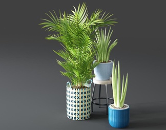 3d欧式绿2015植物花卉模型 欧式绿2015植物花卉3d模型下载-青模3d模型