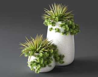 3d欧式绿2015植物花卉模型 欧式绿2015植物花卉3d模型下载-青模3d模型