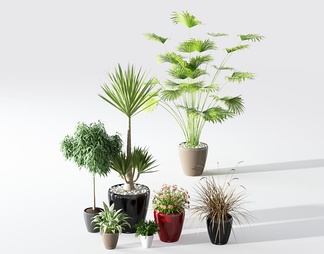 3d欧式绿2015植物花卉模型 欧式绿2015植物花卉3d模型下载-青模3d模型