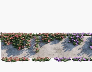 牵牛花 植物 绿植 开花植物 牵牛花 植物 绿植 开花植物3d模型下载【ID:556772】