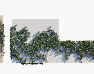 爬藤植物 植物 绿色爬藤 爬藤植物 植物 绿色爬藤3d模型下载【ID:556785】