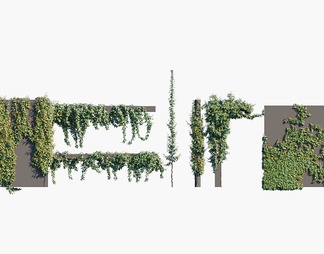 爬山虎 常春藤 植物 蔓藤 爬墙植物 爬山虎 常春藤 植物 蔓藤 爬墙植物3d模型下载【ID:561506】