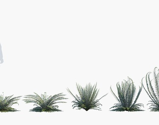 厥类 厥 植物 厥类 厥 植物3d模型下载【ID:561510】