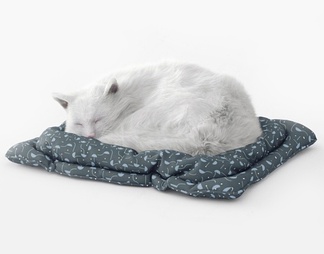 猫 猫3d模型下载【ID:570241】