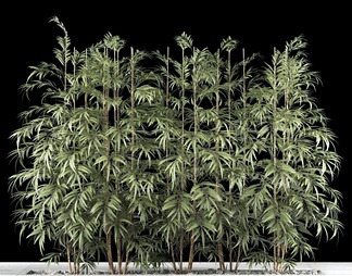 竹子 竹子3d模型下载【ID:571159】