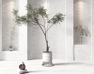 盆栽 盆栽3d模型下载【ID:570983】