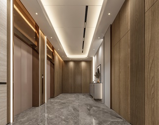 酒店电梯厅 酒店电梯厅3d模型下载【ID:571548】