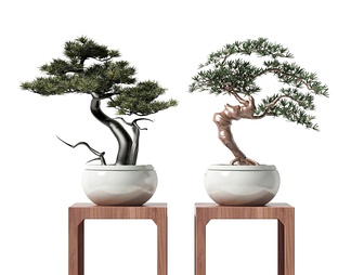 盆栽 盆栽3d模型下载【ID:573148】