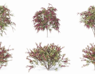 树木 灌木 绿植 植被 室外植物 树木 灌木 绿植 植被 室外植物3d模型下载【ID:573744】