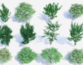 树 庭院树 园林植物 鸟瞰树 树 庭院树 园林植物 鸟瞰树3d模型下载【ID:573529】