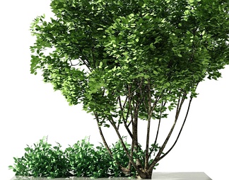树木 树木3d模型下载【ID:574521】