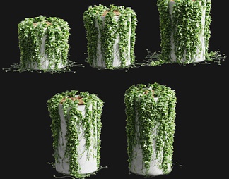 藤蔓爬藤盆栽 藤蔓爬藤盆栽3D模型下载【ID:585495】