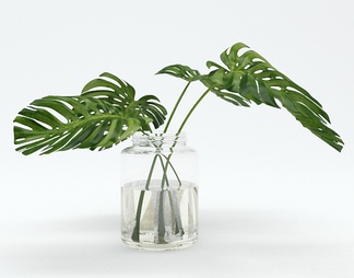 植物盆栽 植物盆栽3D模型下载【ID:585354】
