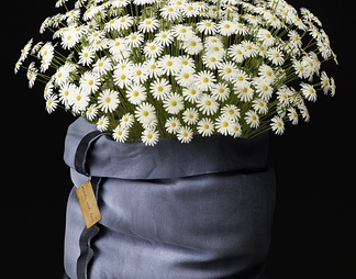 花卉 花卉3D模型下载【ID:585876】
