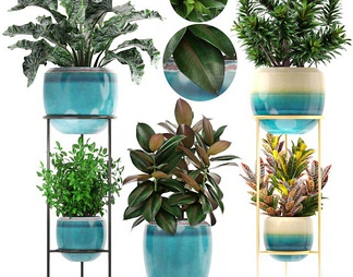 植物组合 植物组合3D模型下载【ID:589203】