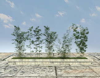 景观植物,竹子植物, 景观植物,竹子植物,3D模型下载【ID:598386】
