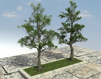 大树,古树,老树 大树,古树,老树3D模型下载【ID:598296】