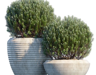 绿植盆栽 绿植盆栽3D模型下载【ID:603903】