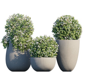 绿植盆栽 绿植盆栽3D模型下载【ID:603894】
