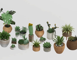 植物多肉 植物多肉3D模型下载【ID:605130】