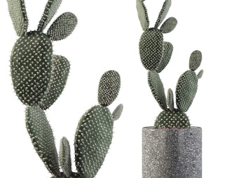 多肉 仙人掌 植物盆栽 多肉 仙人掌 植物盆栽3D模型下载【ID:610744】
