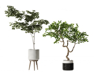 植物盆栽 植物盆栽3D模型下载【ID:635779】