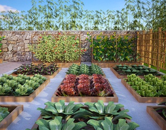 菜园,菜地 菜园,菜地3D模型下载【ID:635884】