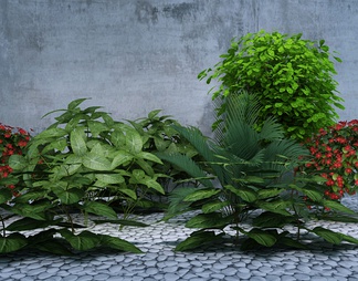 花草花卉 花草花卉3D模型下载【ID:661981】