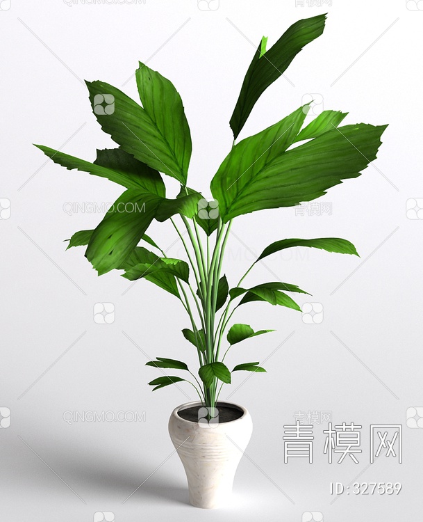 关键字 灰白绿大尺寸jpg 盆栽植物3d模型 花盆盆景