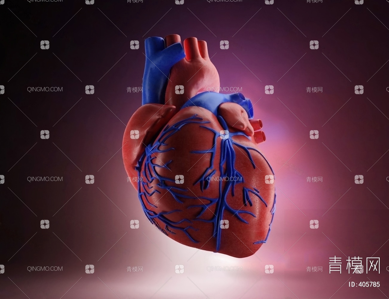 人体心脏器官设计矢量图片素材-编号24853105-图行天下